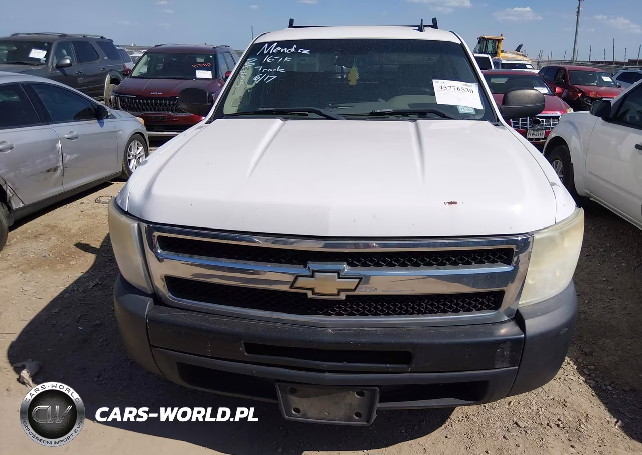 2009 Chevrolet Silverado 1500 Work Truck VIN:3GCEC13J19G231683 - 12