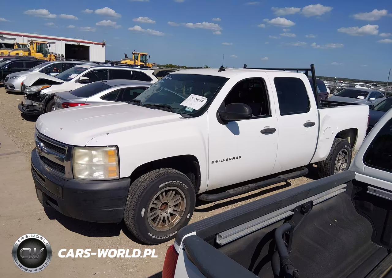 2009 Chevrolet Silverado 1500 Work Truck VIN:3GCEC13J19G231683 - 14