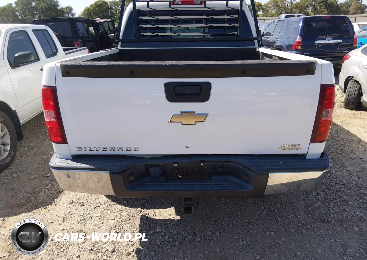 2009 Chevrolet Silverado 1500 Work Truck VIN:3GCEC13J19G231683 - 16