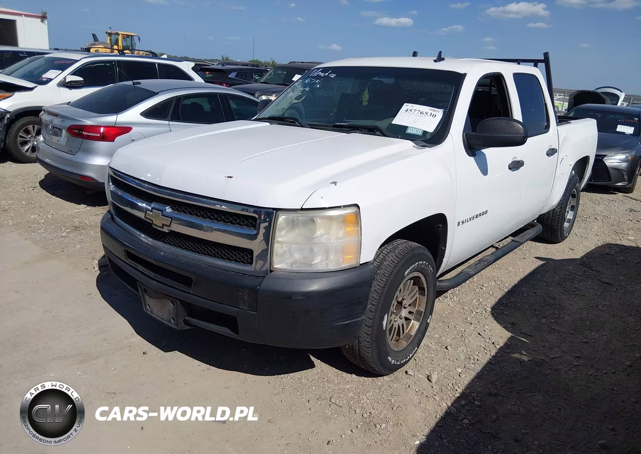 2009 Chevrolet Silverado 1500 Work Truck VIN:3GCEC13J19G231683 - 2