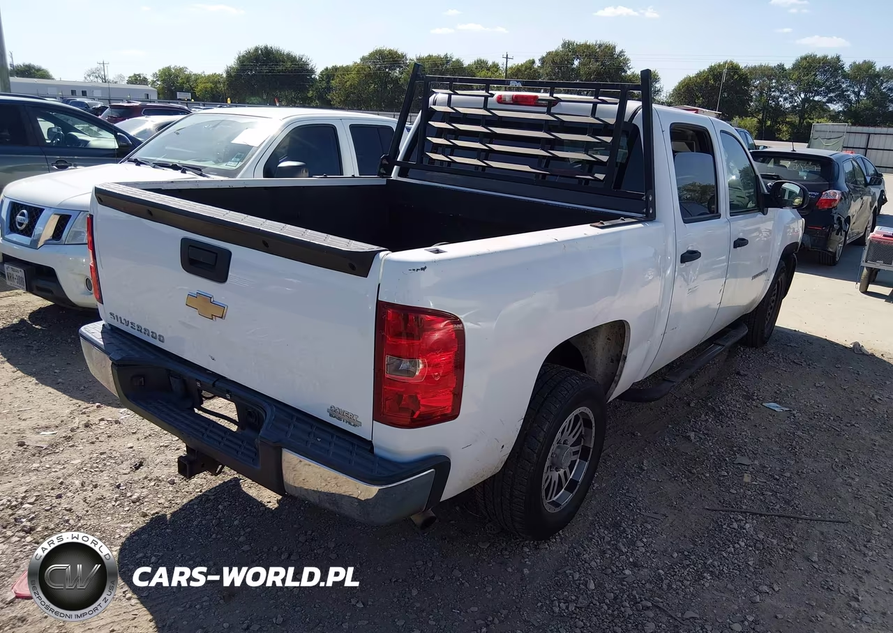 2009 Chevrolet Silverado 1500 Work Truck VIN:3GCEC13J19G231683 - 4