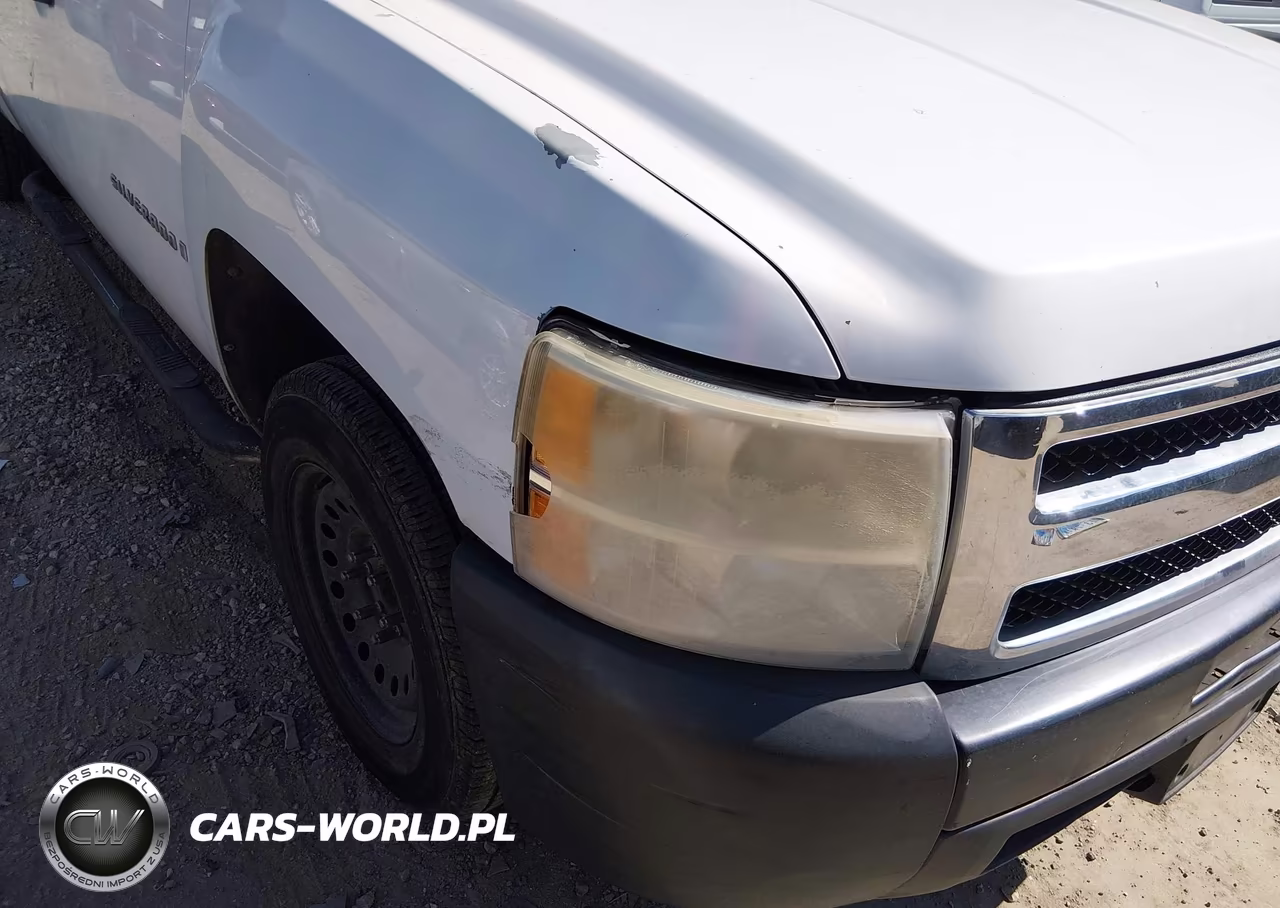 2009 Chevrolet Silverado 1500 Work Truck VIN:3GCEC13J19G231683 - 6