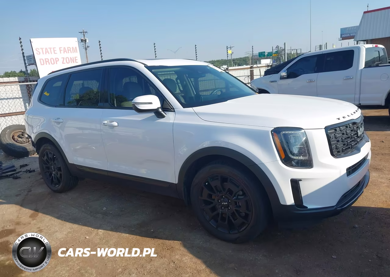 2022 Kia Telluride Ex VIN:5XYP3DHC1NG226500 - 14