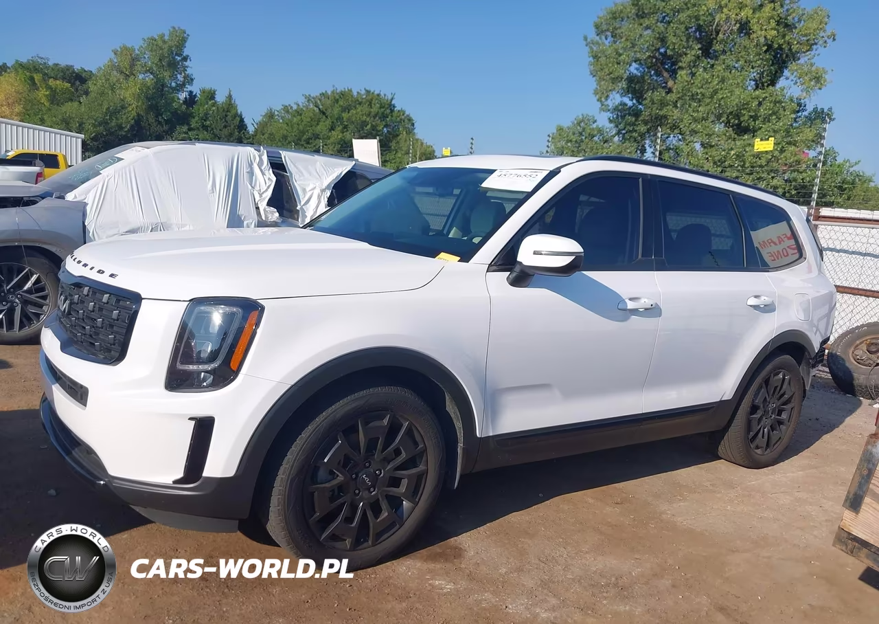 2022 Kia Telluride Ex VIN:5XYP3DHC1NG226500 - 15