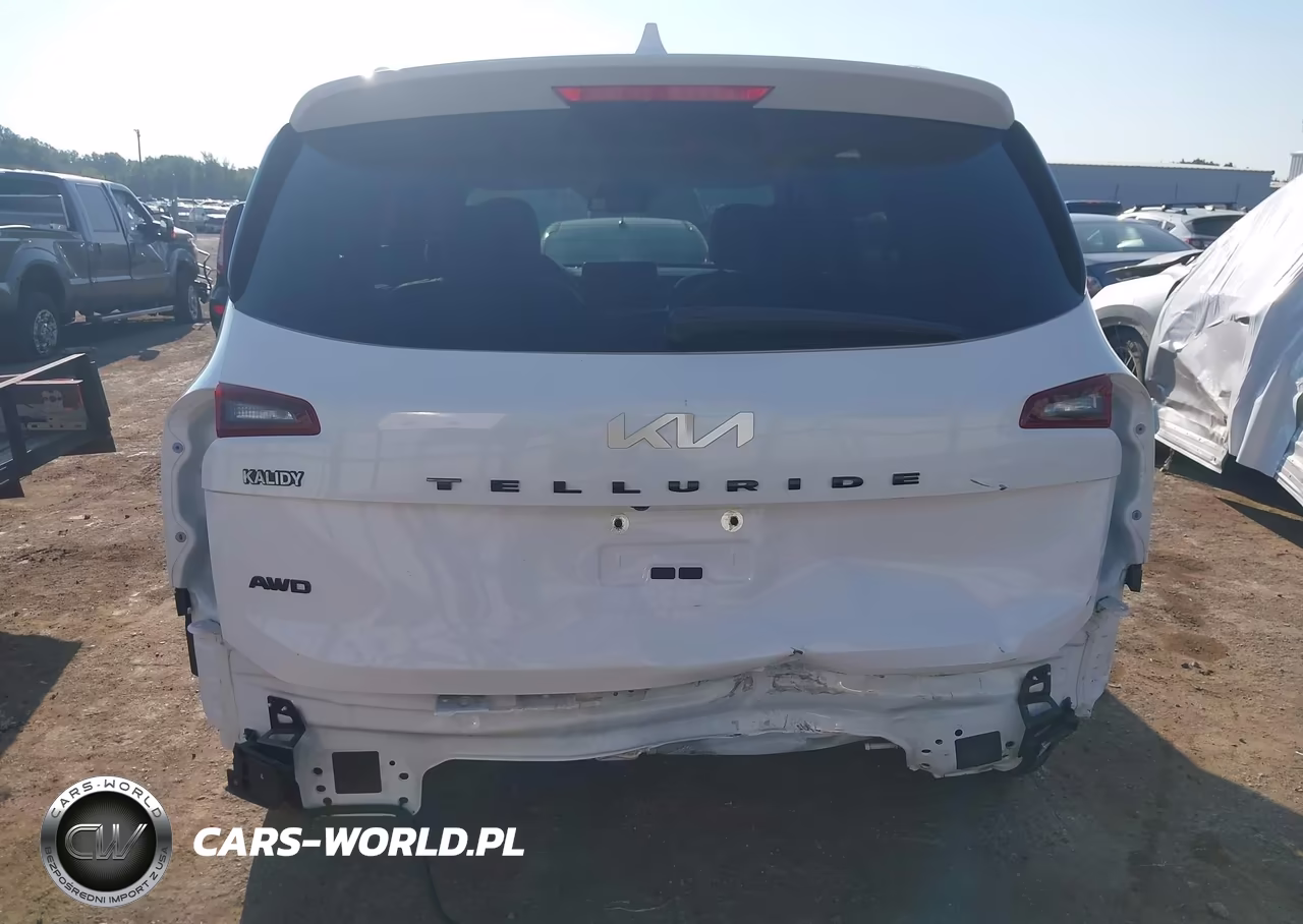 2022 Kia Telluride Ex VIN:5XYP3DHC1NG226500 - 17