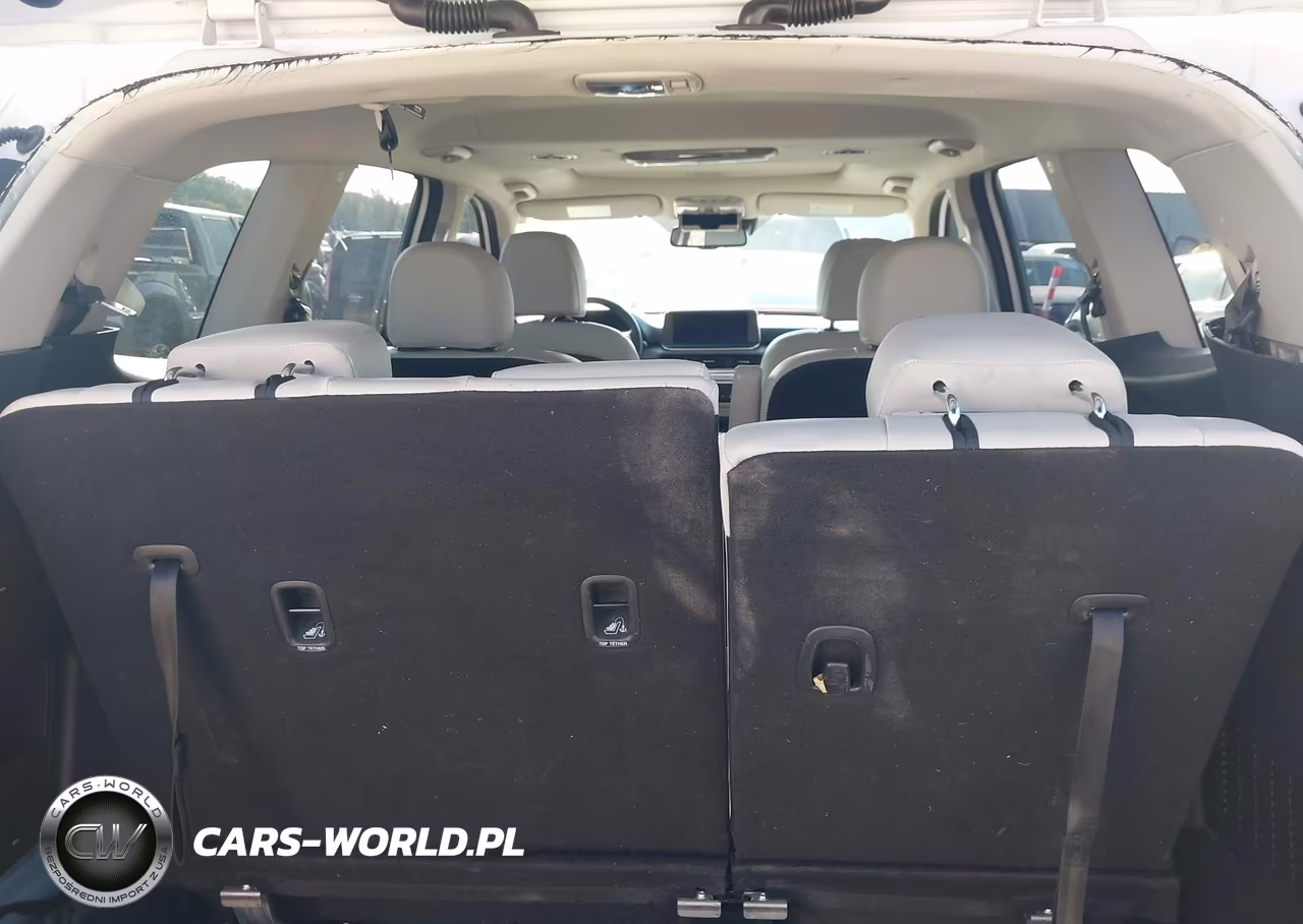 2022 Kia Telluride Ex VIN:5XYP3DHC1NG226500 - 18