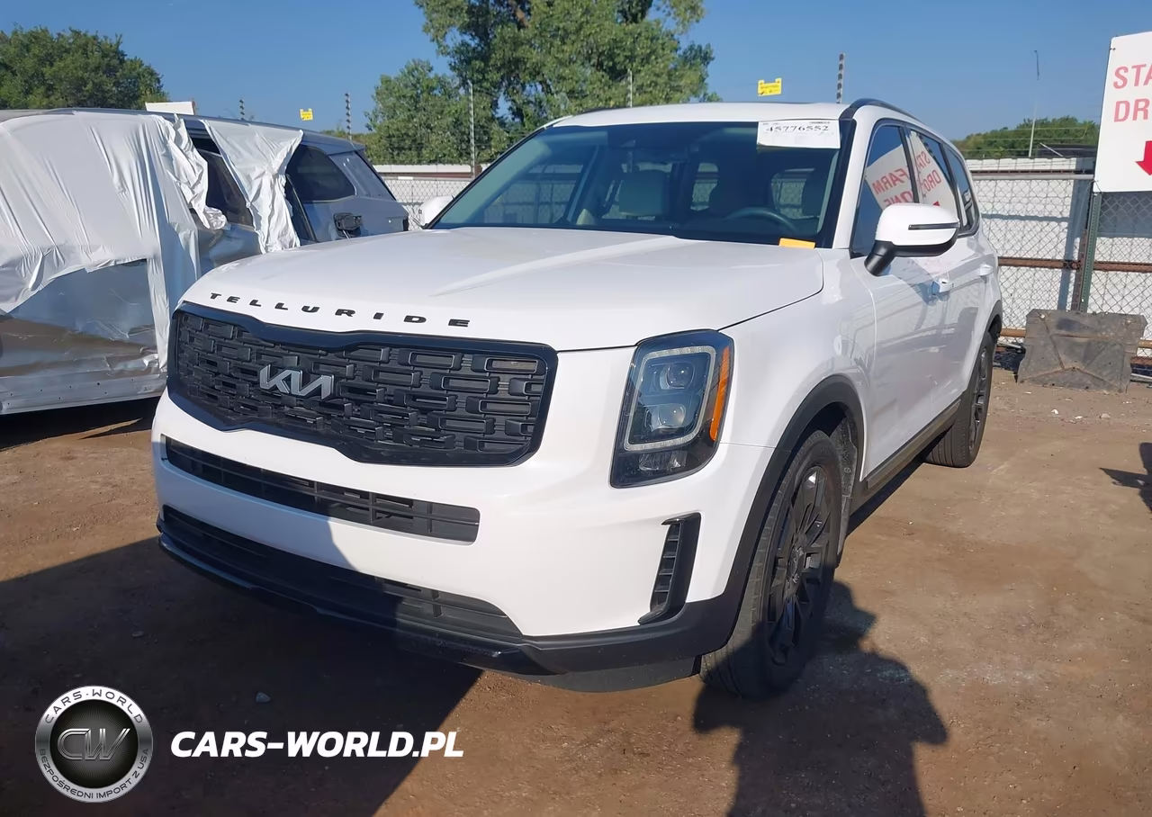 2022 Kia Telluride Ex VIN:5XYP3DHC1NG226500 - 2