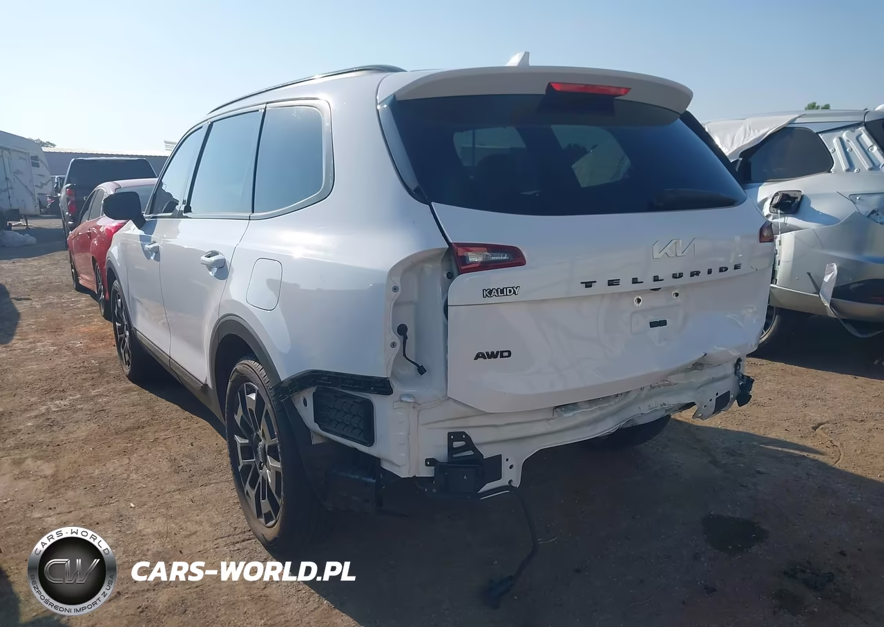 2022 Kia Telluride Ex VIN:5XYP3DHC1NG226500 - 3