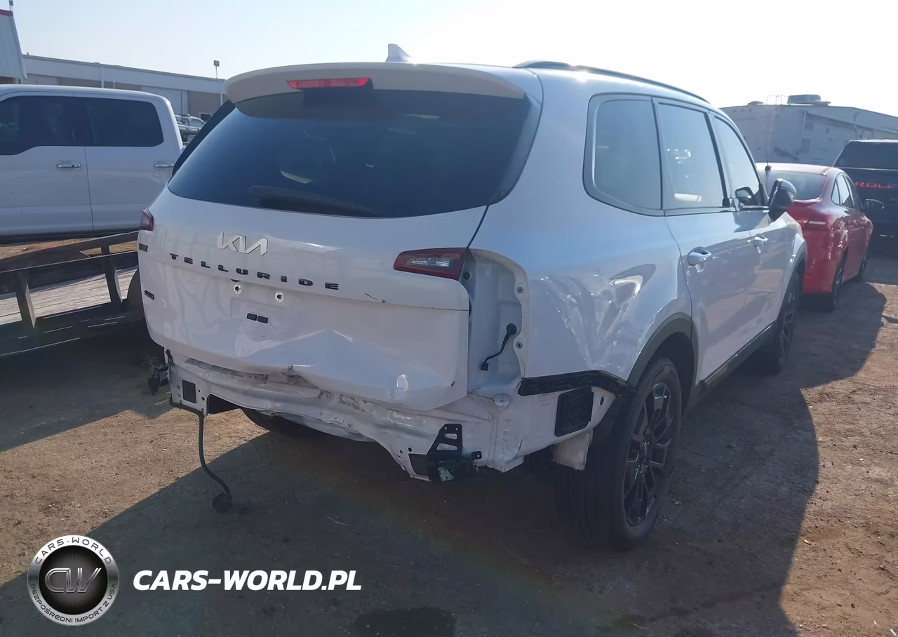 2022 Kia Telluride Ex VIN:5XYP3DHC1NG226500 - 4