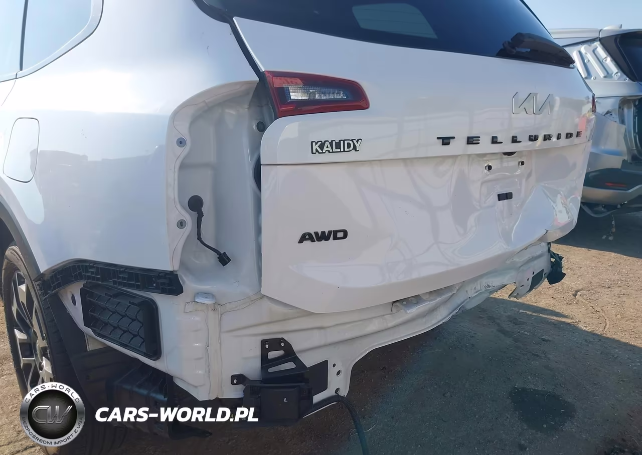 2022 Kia Telluride Ex VIN:5XYP3DHC1NG226500 - 6