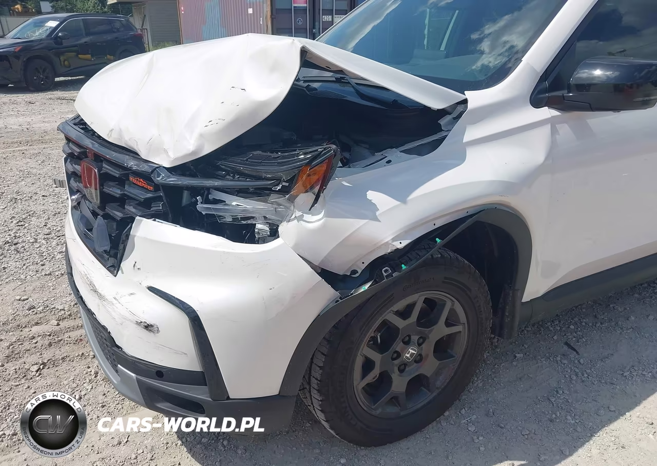 2025 Honda Pilot Trailsport VIN:5FNYG1H6XSB175647 - 6