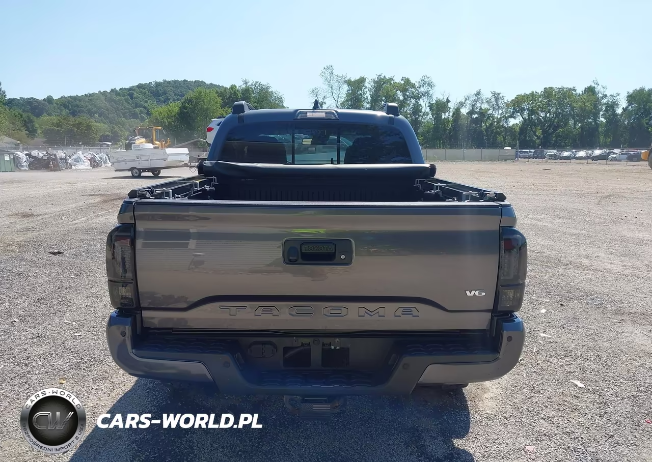 2020 Toyota Tacoma Trd Off-Road VIN:5TFCZ5AN5LX238299 - 17
