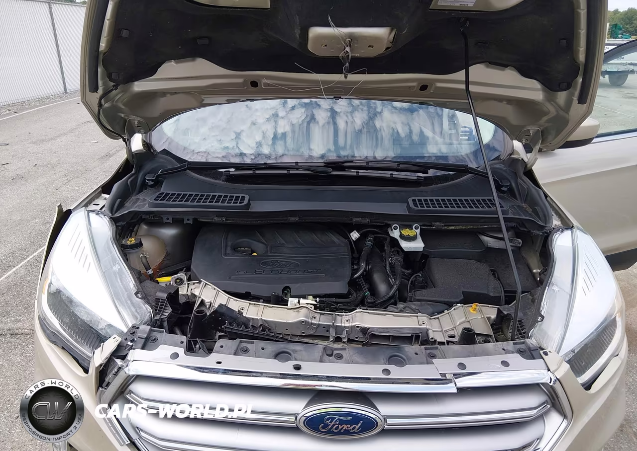 2017 Ford Escape Se VIN:1FMCU0GDXHUE57196 - 10