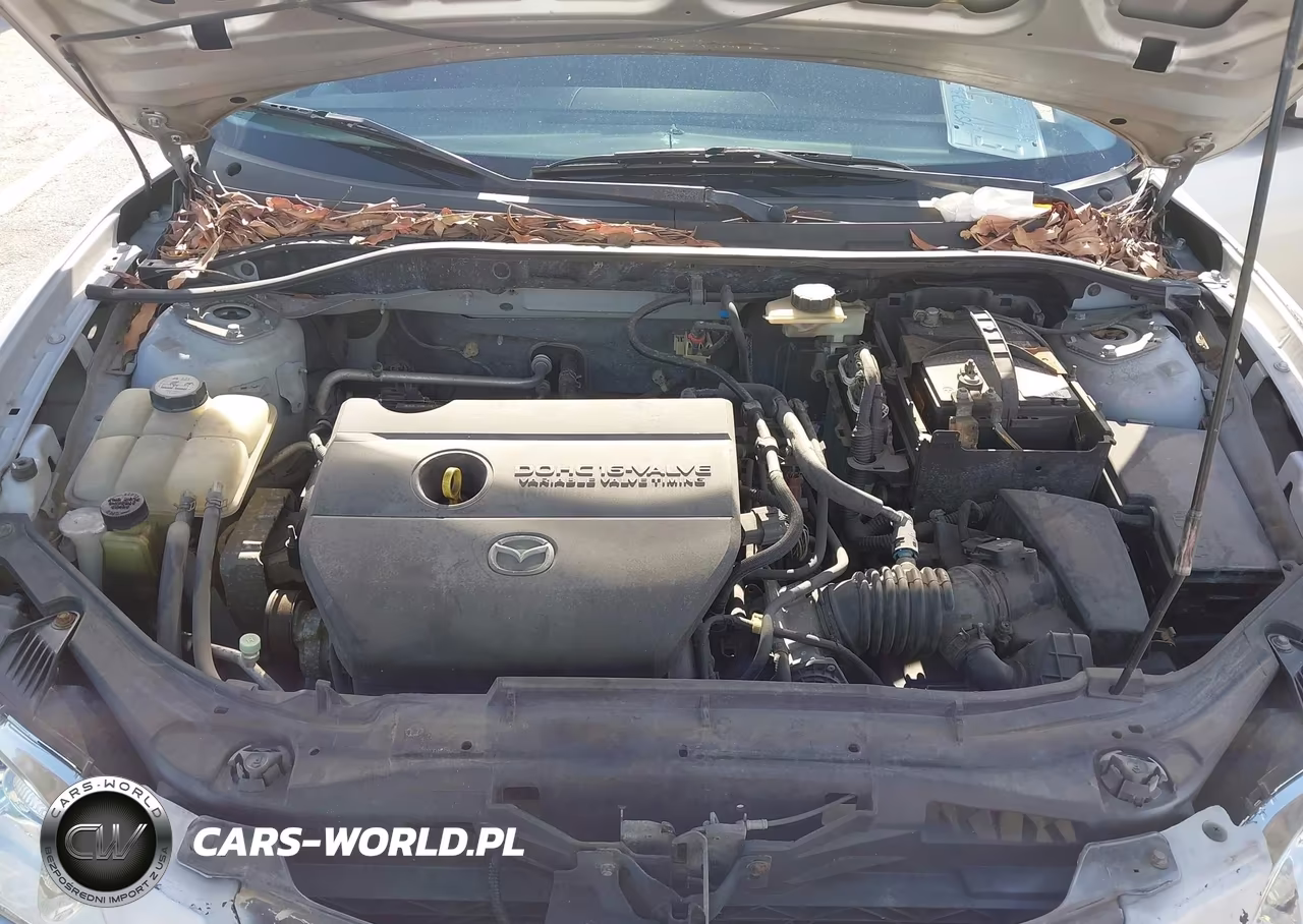 2006 Mazda 3 I VIN:JM1BK12F461534924 - 10