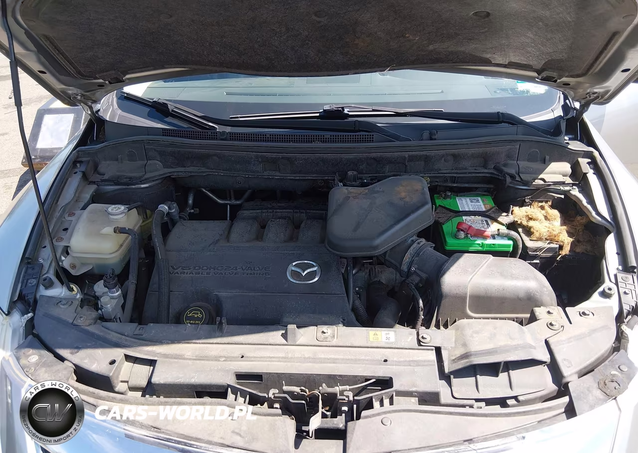 2010 Mazda Cx-9 Touring VIN:JM3TB3MV6A0217785 - 10