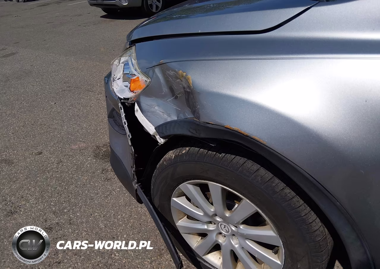2010 Mazda Cx-9 Touring VIN:JM3TB3MV6A0217785 - 12