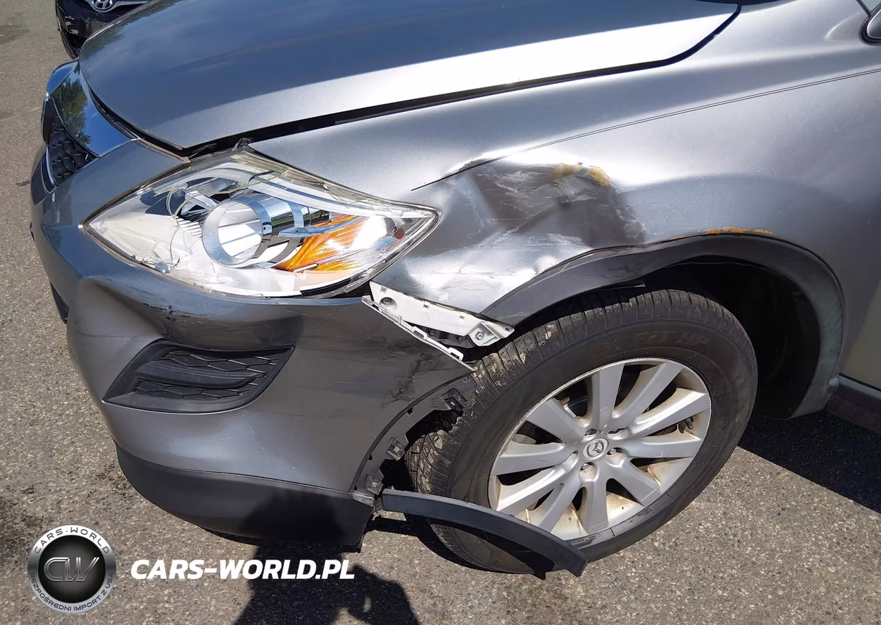 2010 Mazda Cx-9 Touring VIN:JM3TB3MV6A0217785 - 6