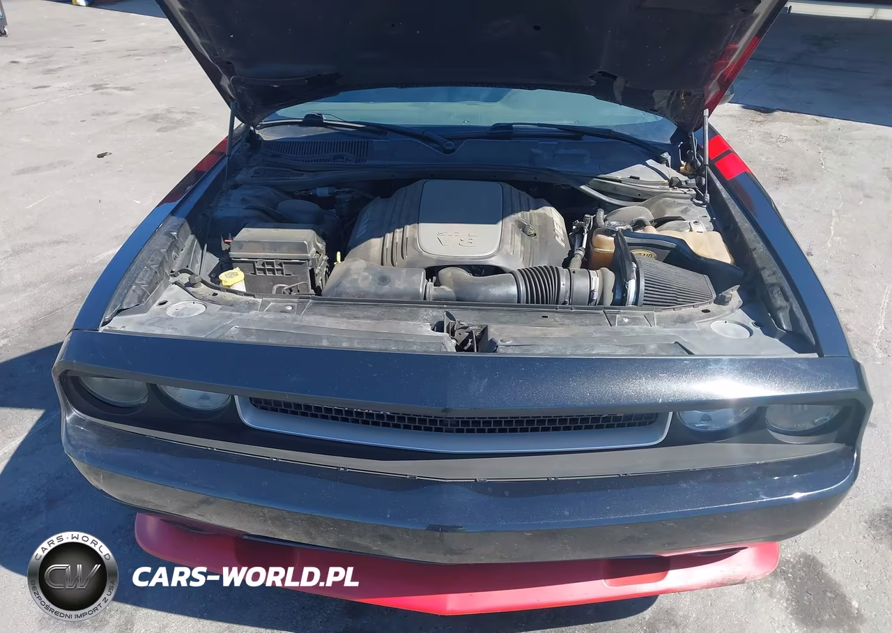 2014 Dodge Challenger R-T Plus VIN:2C3CDYBT5EH165203 - 10