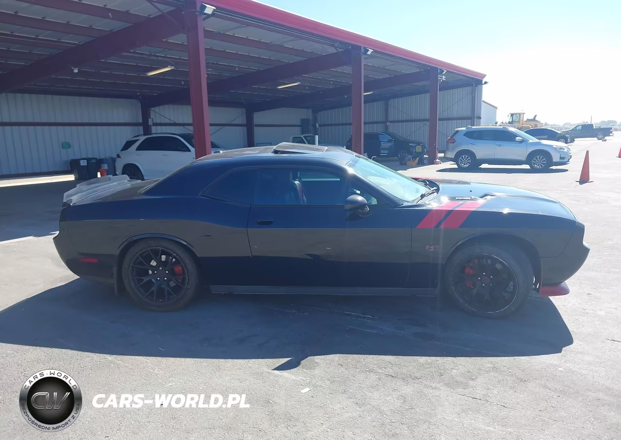 2014 Dodge Challenger R-T Plus VIN:2C3CDYBT5EH165203 - 13