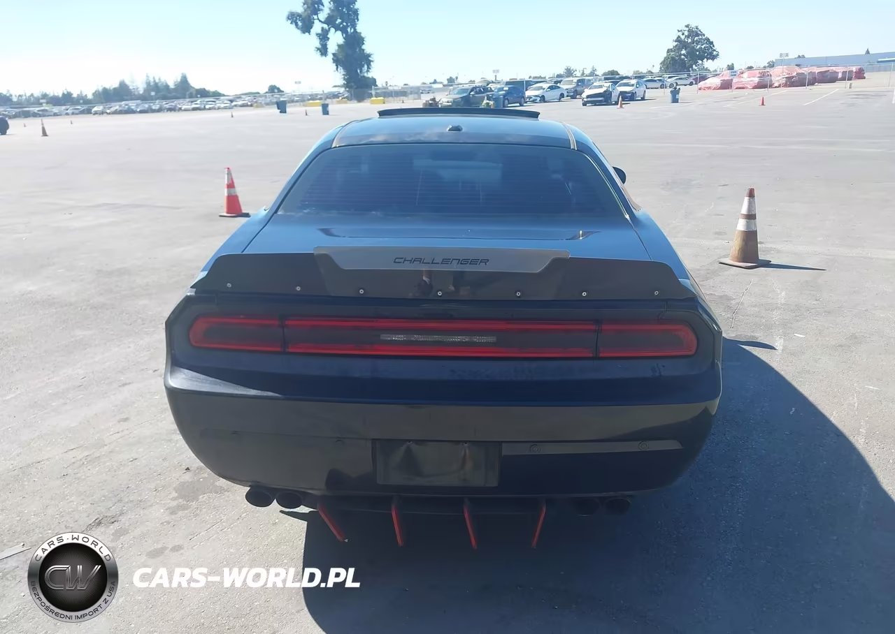 2014 Dodge Challenger R-T Plus VIN:2C3CDYBT5EH165203 - 16