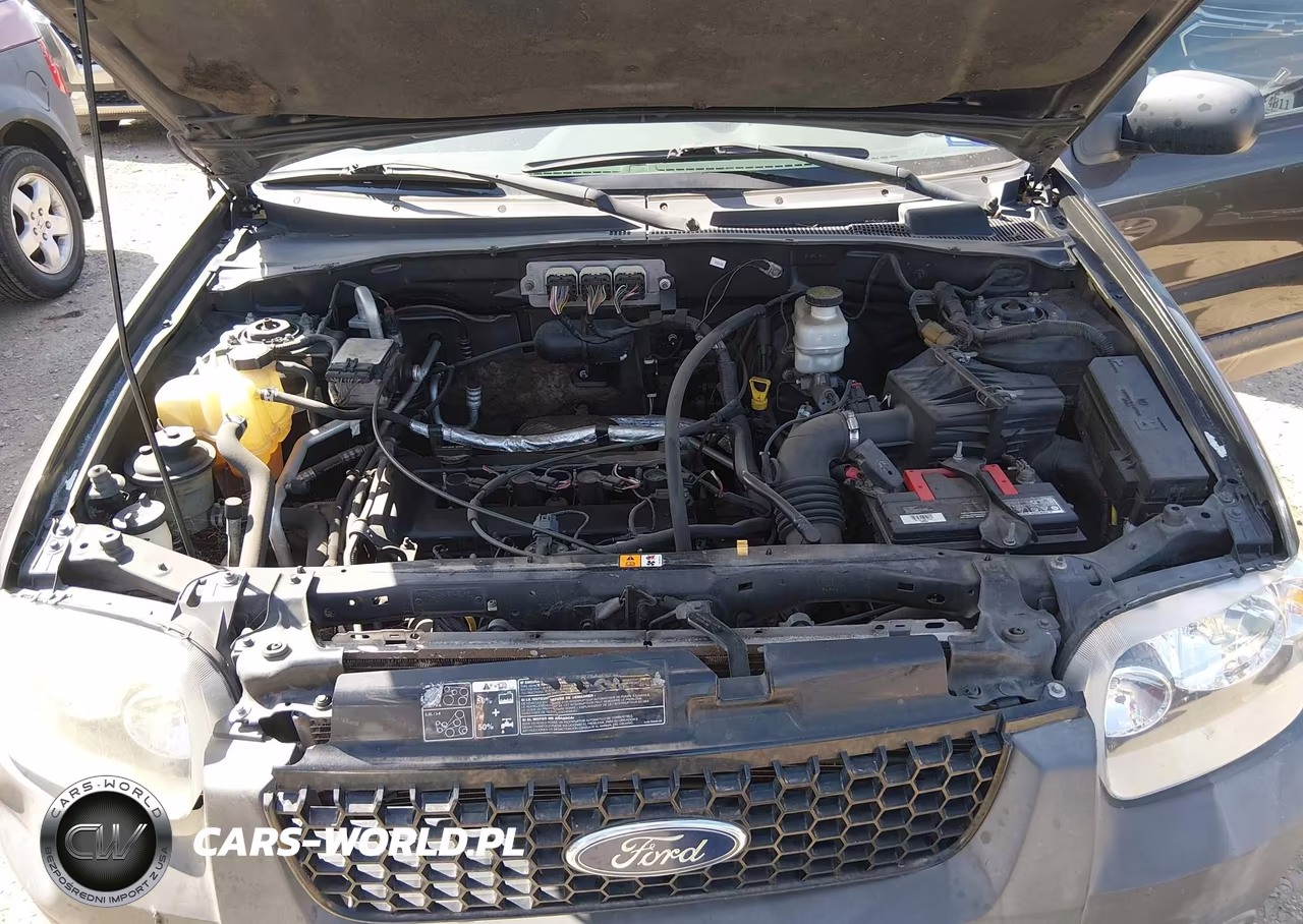 2007 Ford Escape Xls-Xls Manual VIN:1FMYU02Z67KB78783 - 10