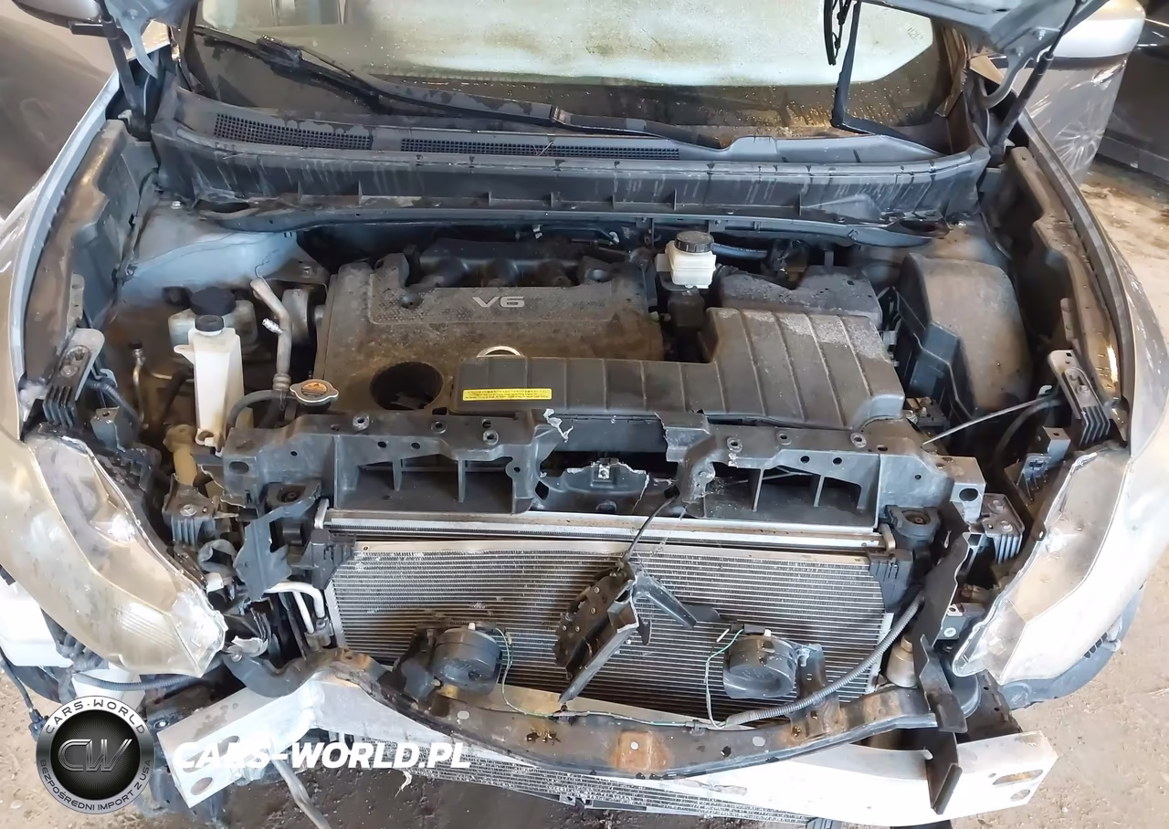 2010 Nissan Murano Sl VIN:JN8AZ1MW9AW104679 - 10