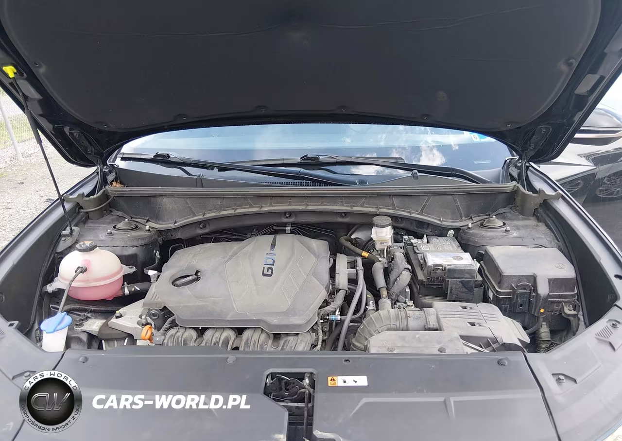 2024 Hyundai Tucson Limited VIN:5NMJECDE8RH374754 - 10
