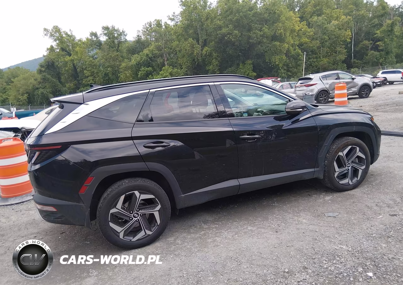 2024 Hyundai Tucson Limited VIN:5NMJECDE8RH374754 - 13
