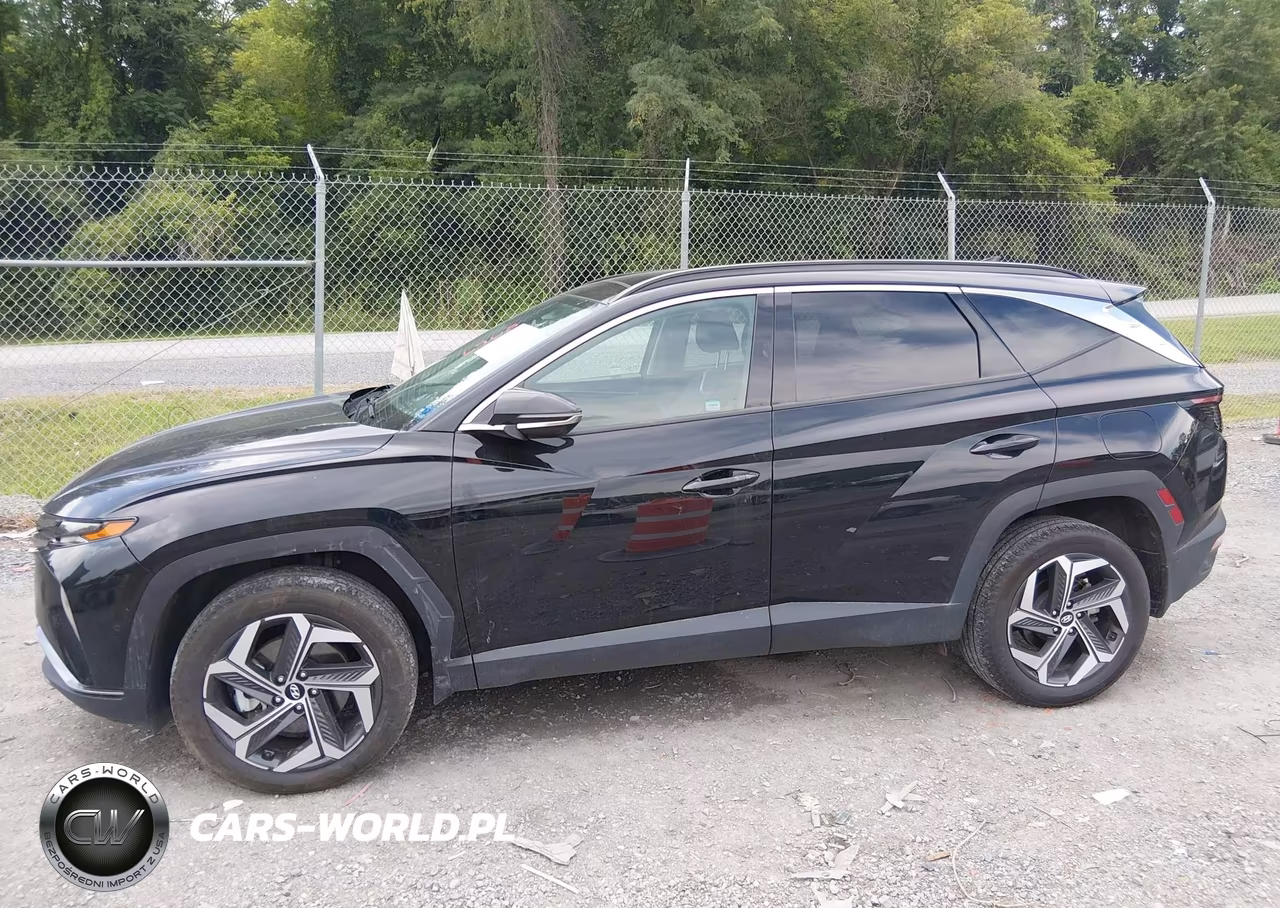 2024 Hyundai Tucson Limited VIN:5NMJECDE8RH374754 - 14