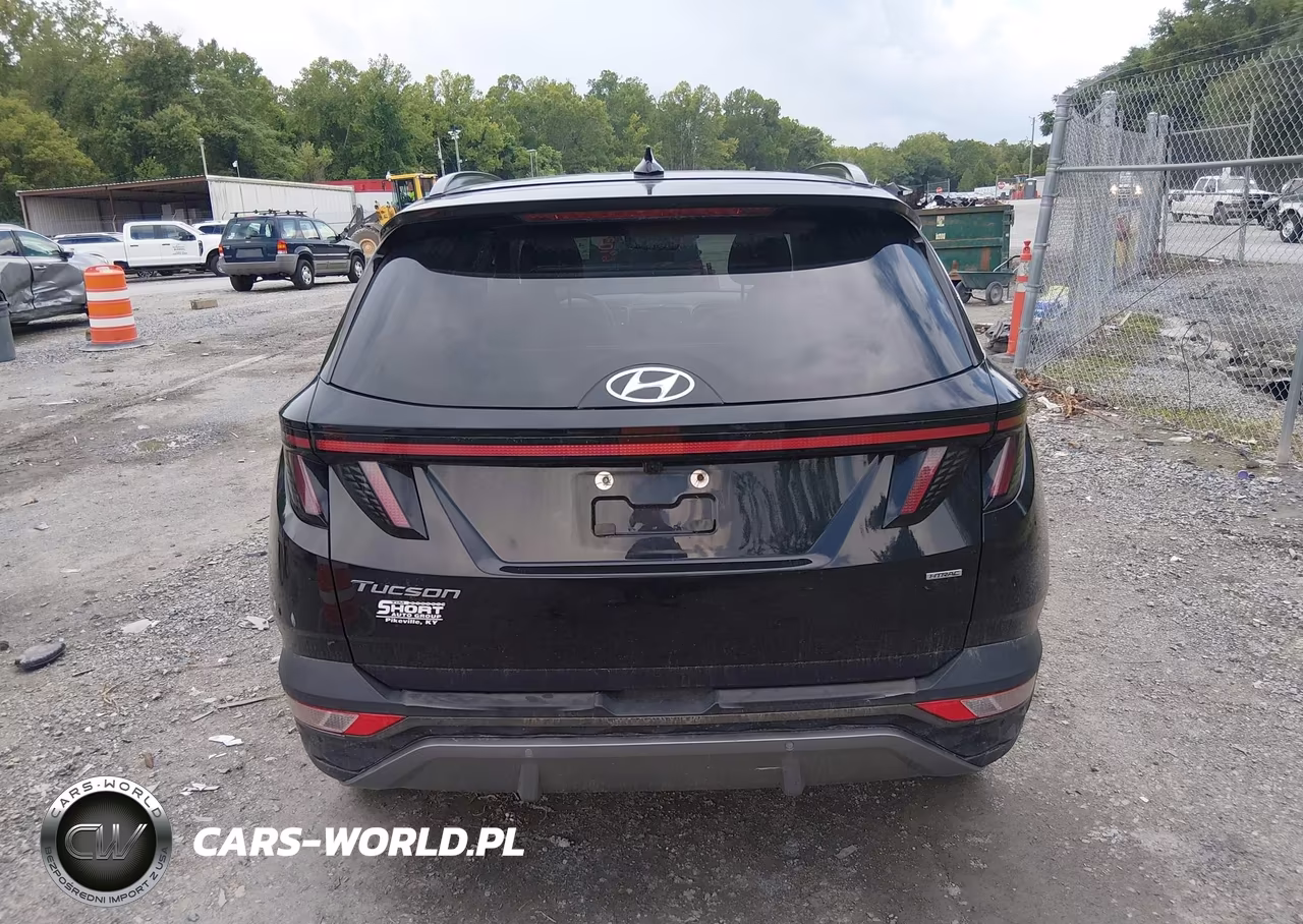 2024 Hyundai Tucson Limited VIN:5NMJECDE8RH374754 - 16