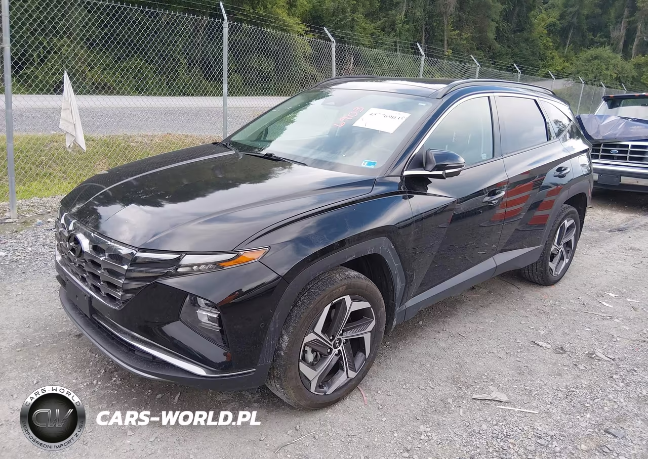 2024 Hyundai Tucson Limited VIN:5NMJECDE8RH374754 - 2