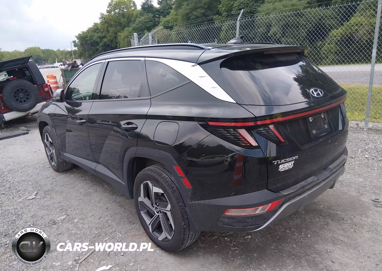 2024 Hyundai Tucson Limited VIN:5NMJECDE8RH374754 - 3