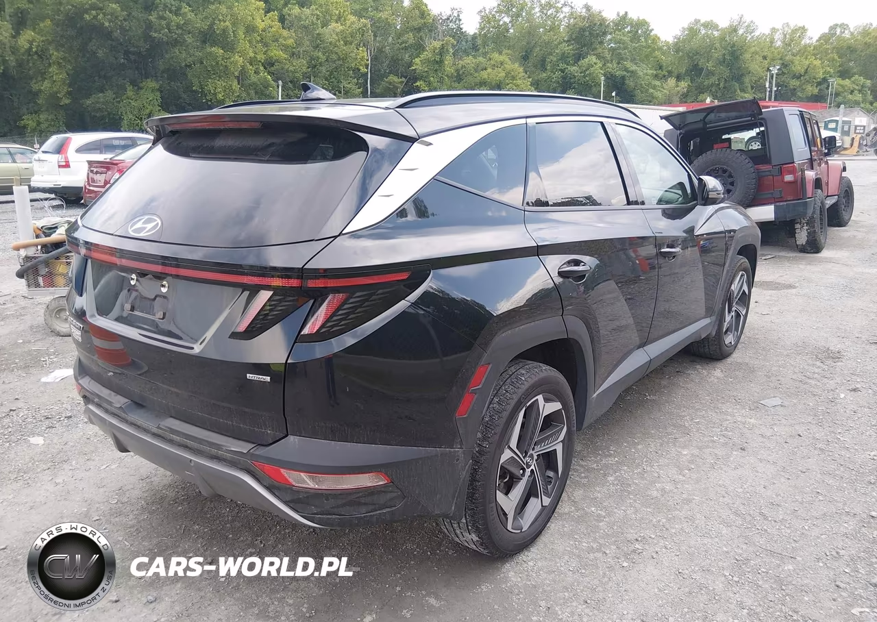 2024 Hyundai Tucson Limited VIN:5NMJECDE8RH374754 - 4