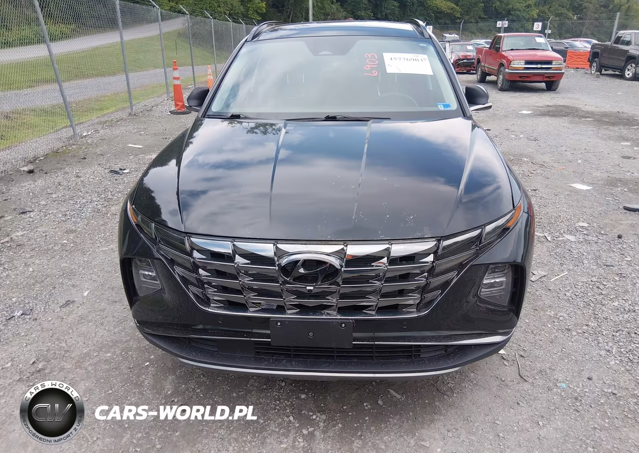 2024 Hyundai Tucson Limited VIN:5NMJECDE8RH374754 - 6
