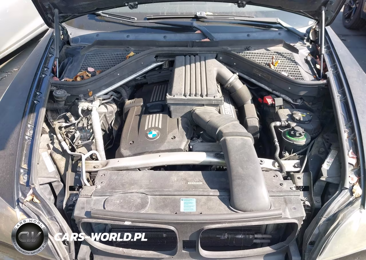2009 BMW X5 xDrive30I VIN:5UXFE43549L268456 - 10