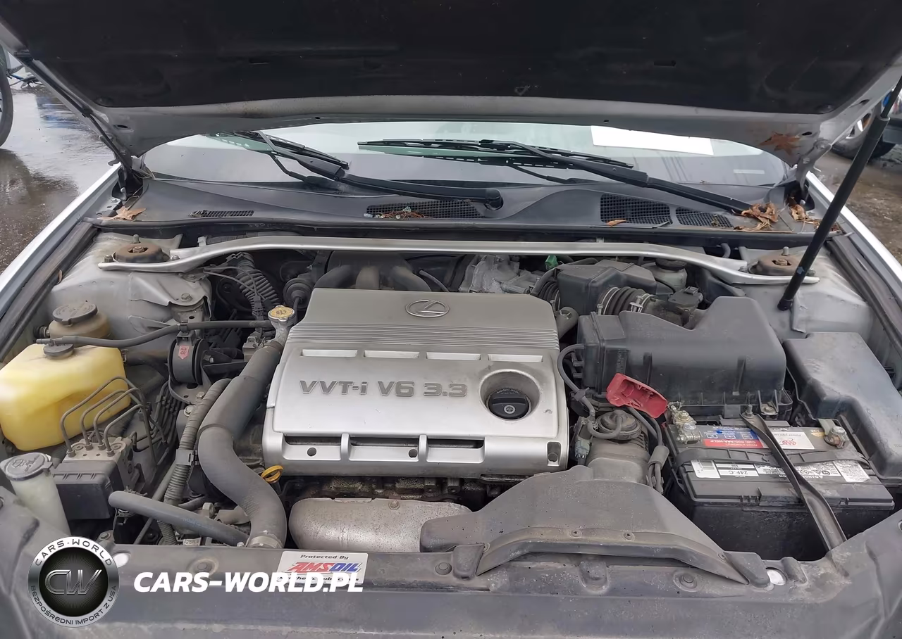2005 Lexus Es 330 VIN:JTHBA30G455130330 - 10