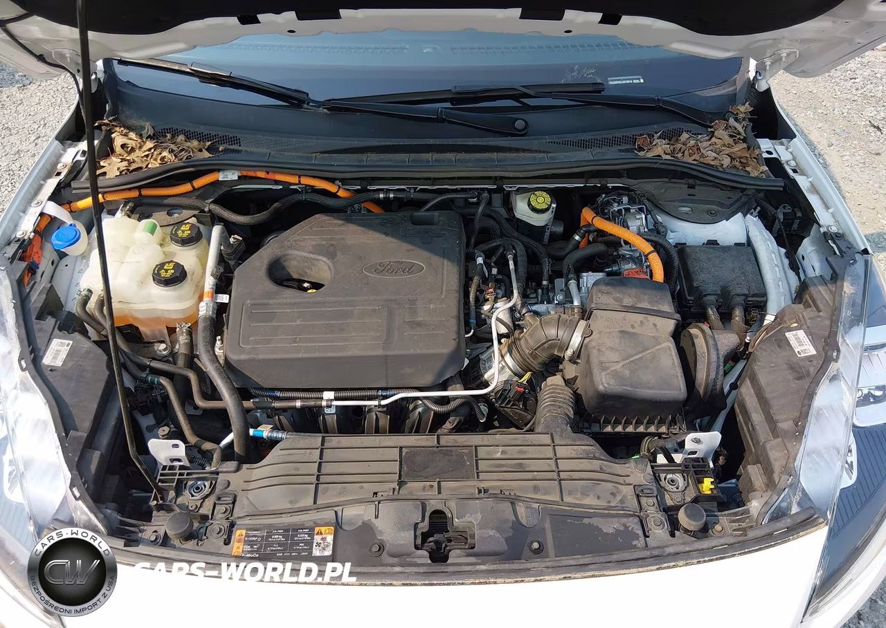 2020 Ford Escape Titanium Hybrid VIN:1FMCU0DZ8LUB79018 - 10