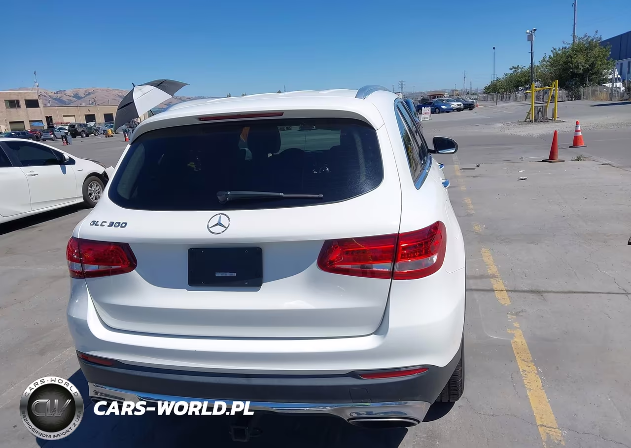 2017 Mercedes-Benz Glc 300 VIN:WDC0G4JB1HV011164 - 16
