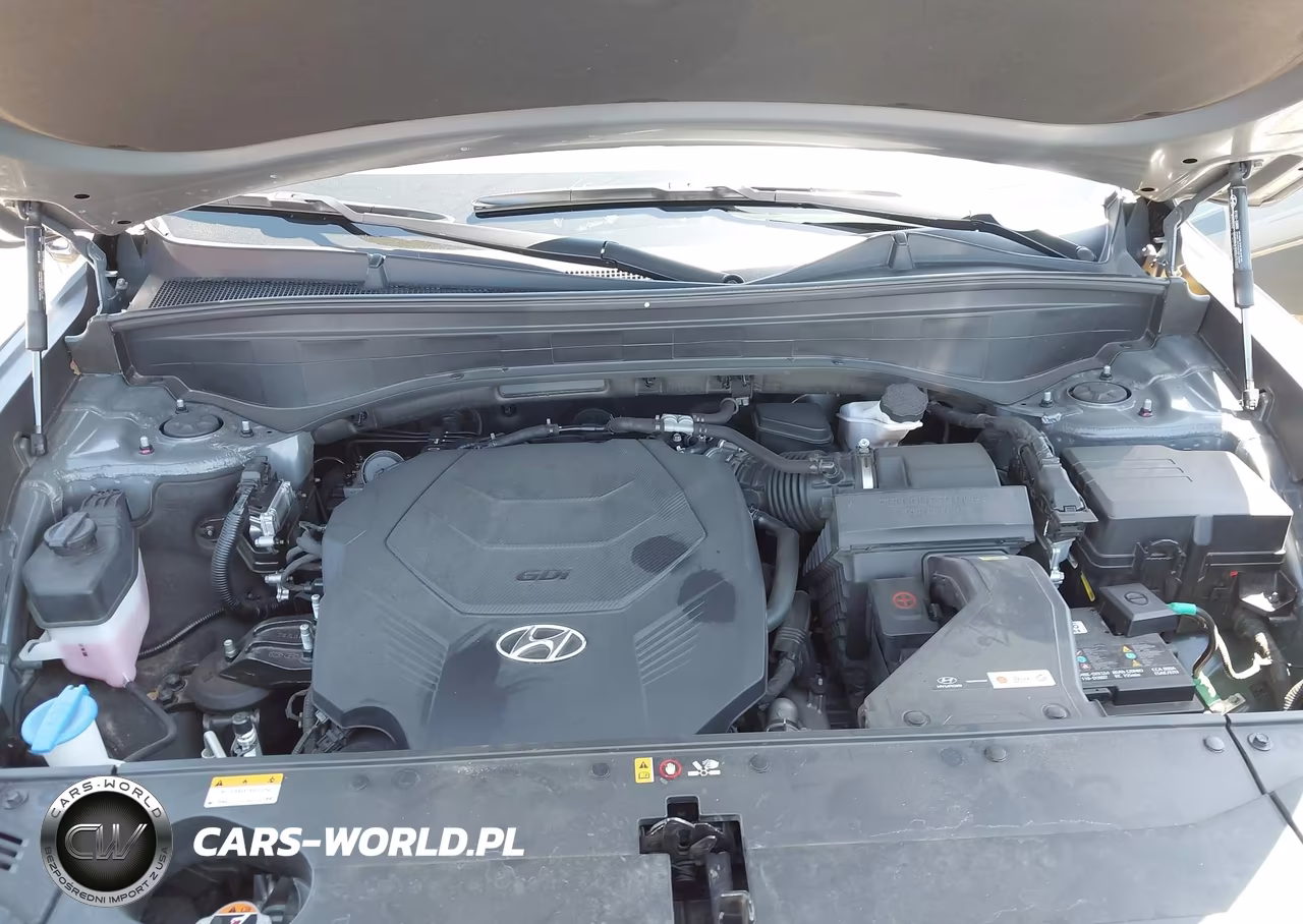 2023 Hyundai Palisade Limited VIN:KM8R54GE5PU524003 - 10