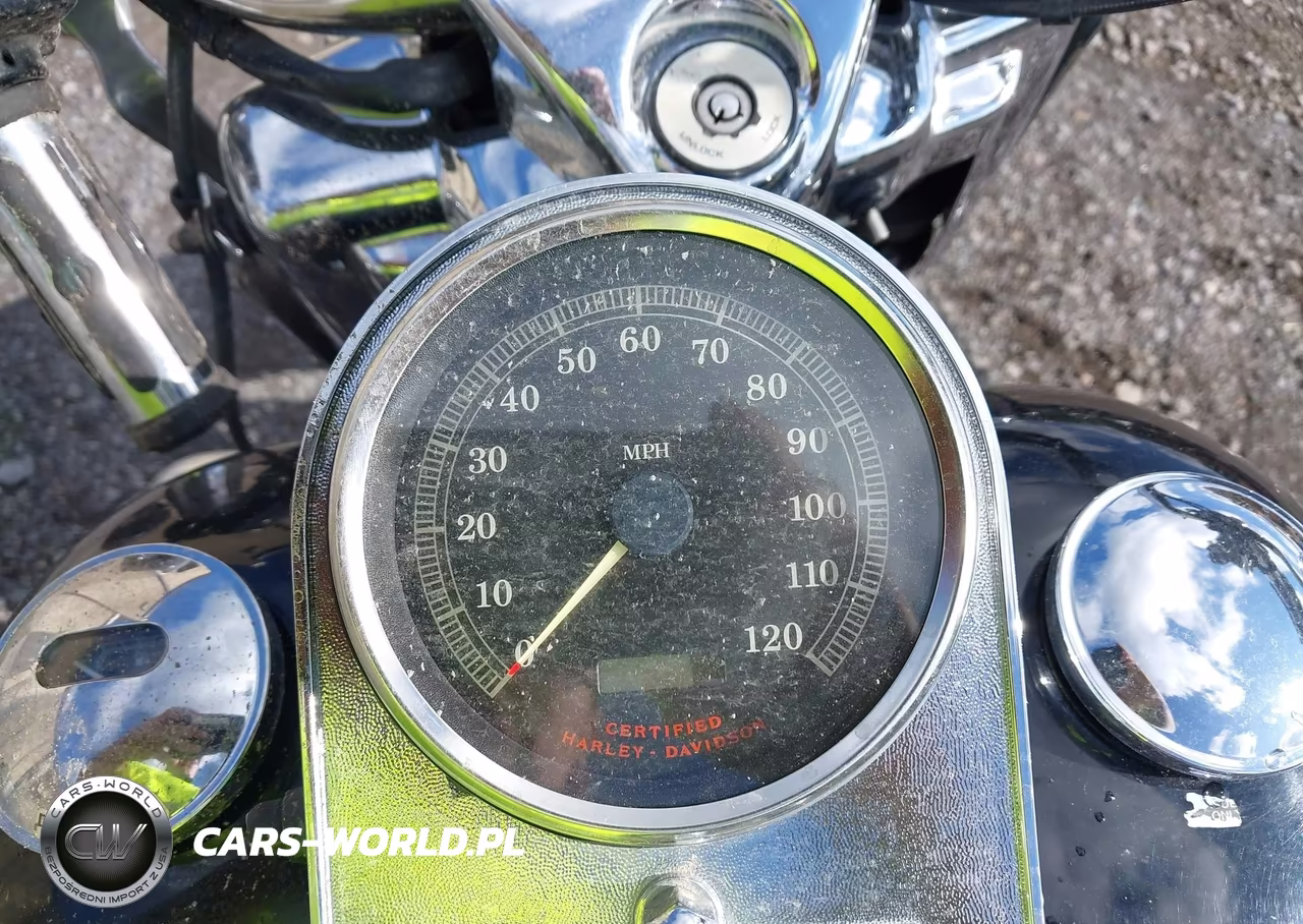 2002 Harley-Davidson Flhrci VIN:1HD1FRW3X2Y603274 - 7