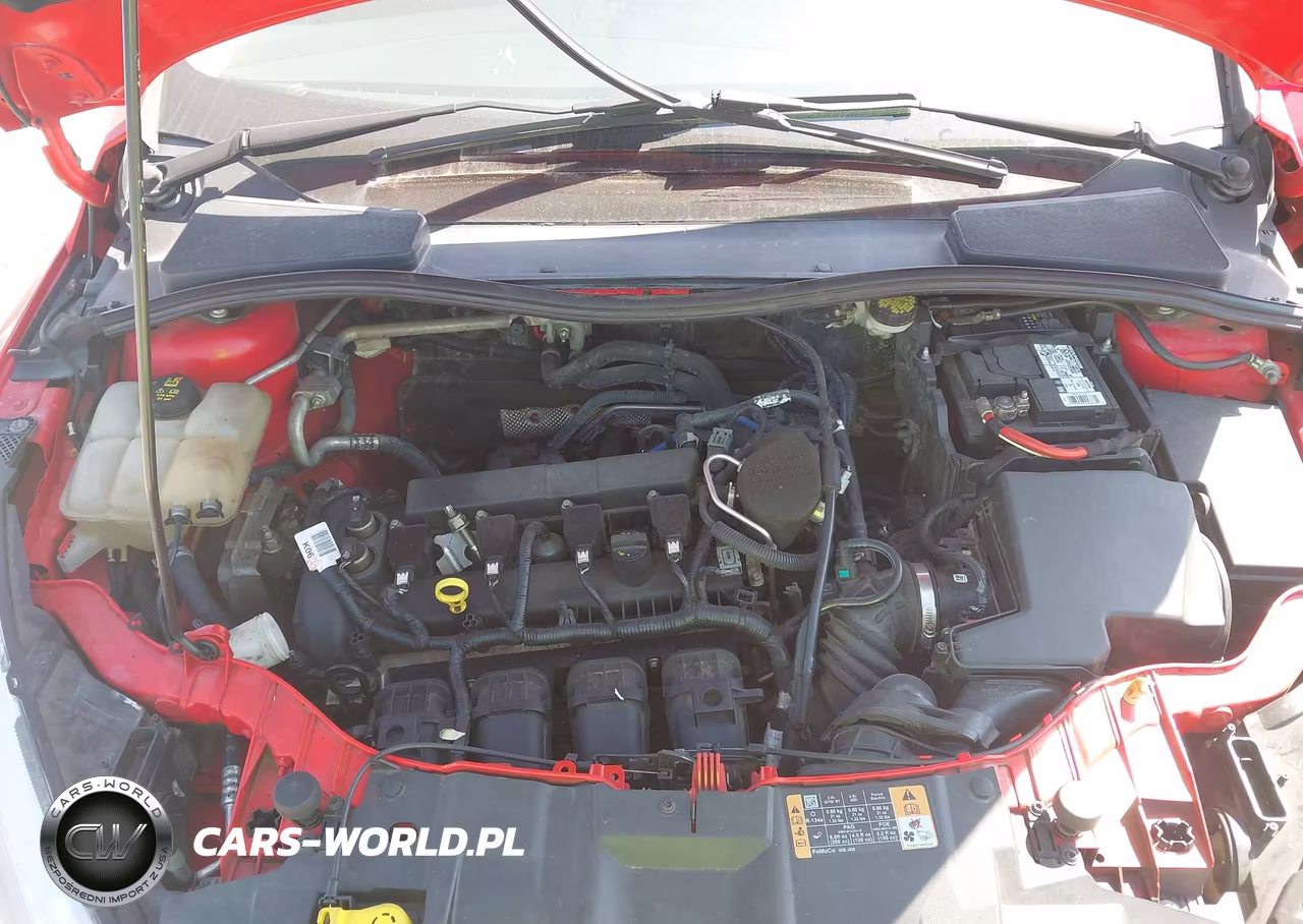 2015 Ford Focus Se VIN:1FADP3K2XFL224483 - 10