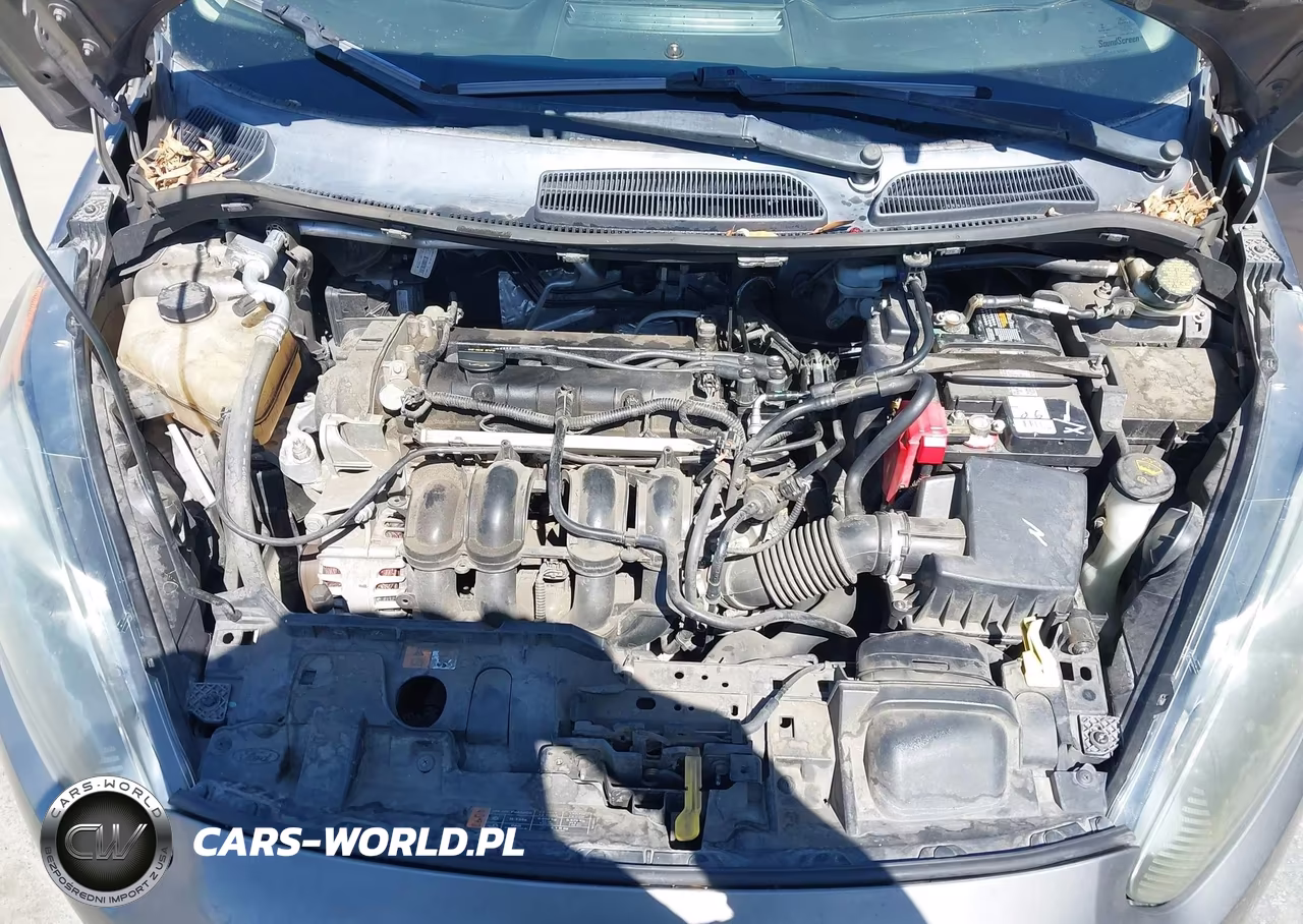 2014 Ford Fiesta Se VIN:3FADP4BJ4EM203851 - 10