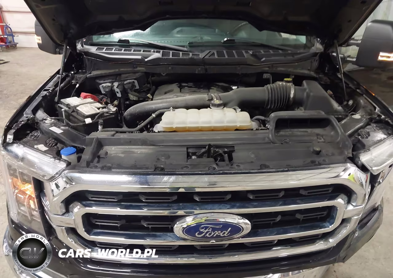 2023 Ford F-150 Xlt VIN:1FTFW1E84PFC32086 - 10