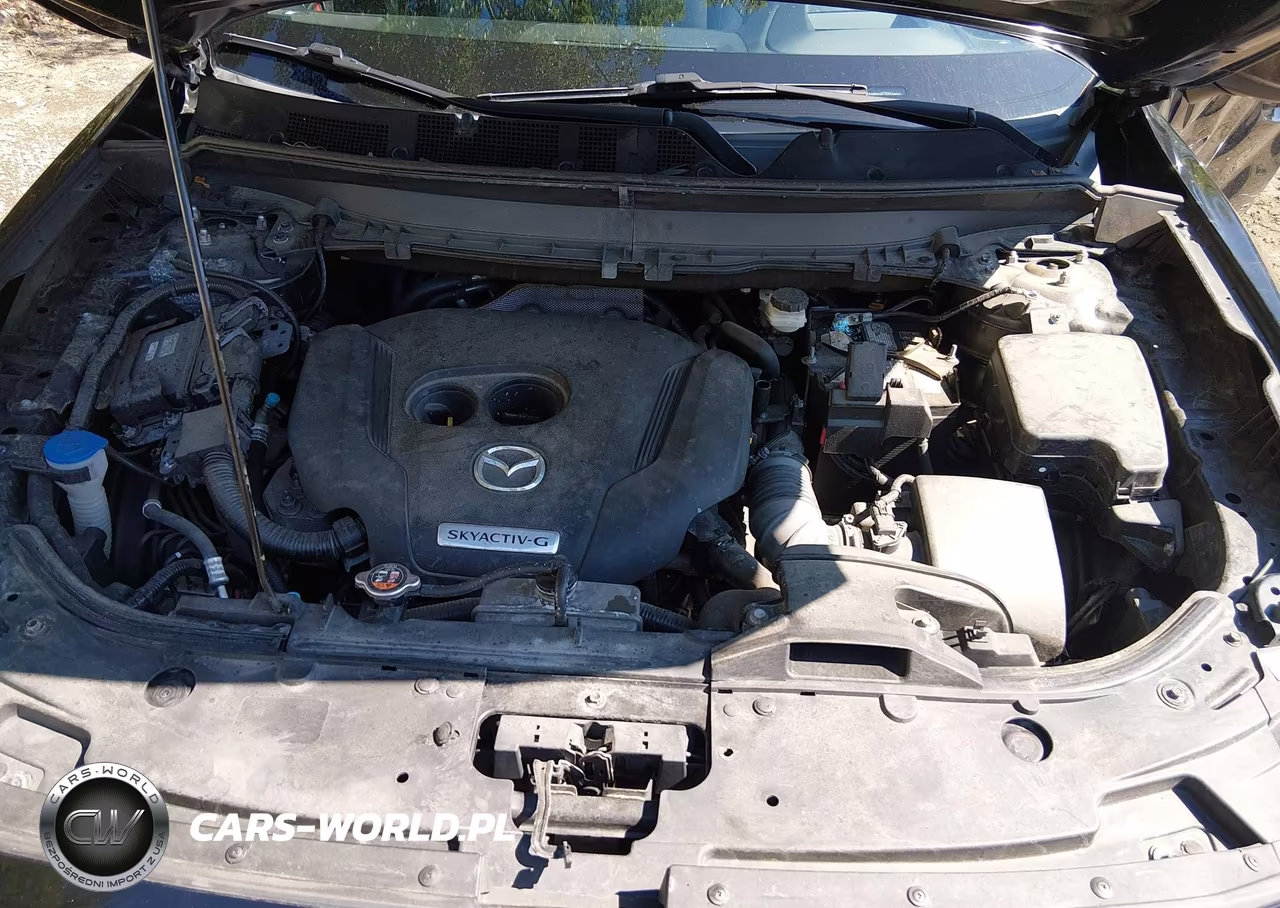 2020 Mazda Cx-9 Grand Touring VIN:JM3TCBDYXL0404824 - 10