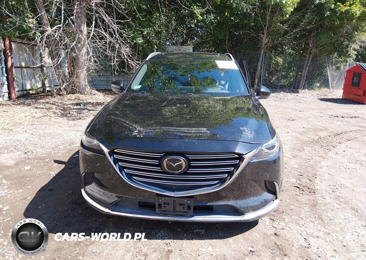 2020 Mazda Cx-9 Grand Touring VIN:JM3TCBDYXL0404824 - 12