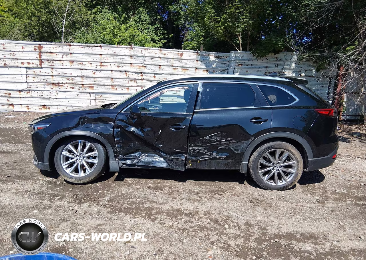 2020 Mazda Cx-9 Grand Touring VIN:JM3TCBDYXL0404824 - 14