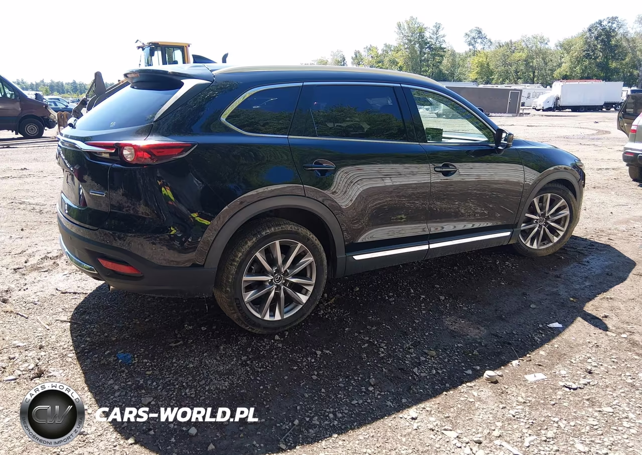 2020 Mazda Cx-9 Grand Touring VIN:JM3TCBDYXL0404824 - 4