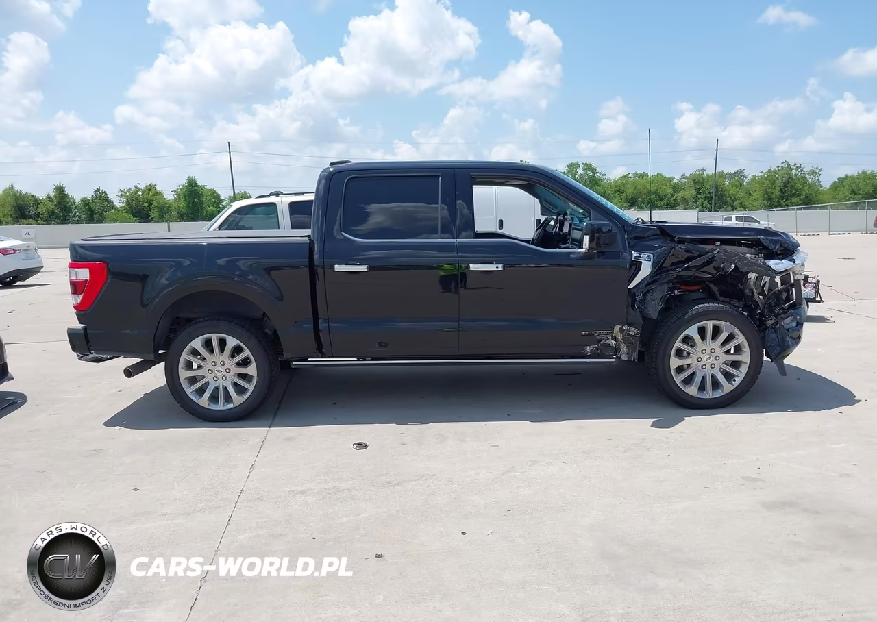2023 Ford F-150 Limited VIN:1FTFW1ED9PFC22912 - 13