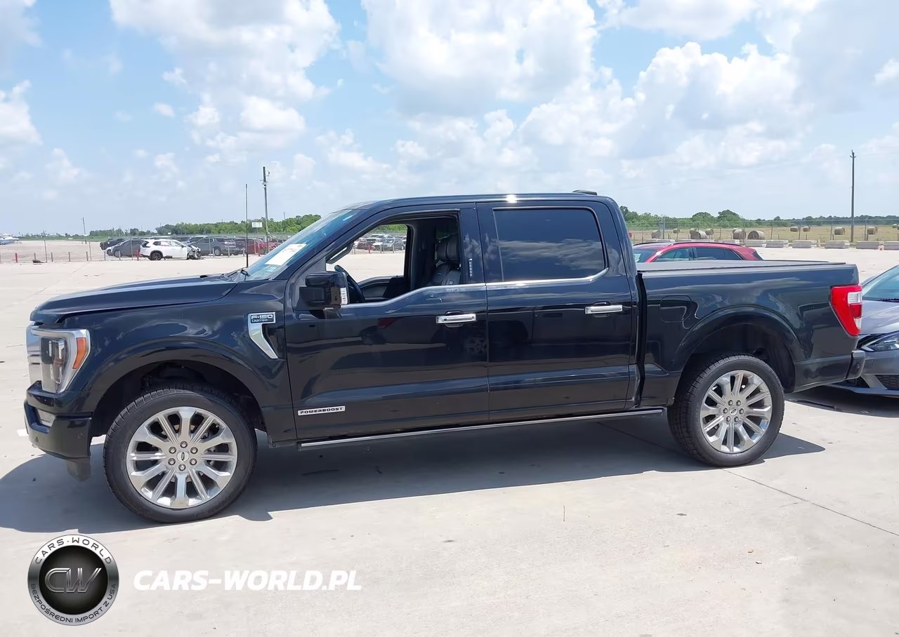 2023 Ford F-150 Limited VIN:1FTFW1ED9PFC22912 - 14