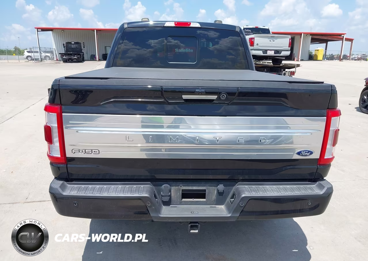 2023 Ford F-150 Limited VIN:1FTFW1ED9PFC22912 - 16